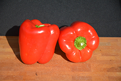 Big Red Sweet Pepper (Capsicum annuum 'Big Red') at Canadale Nurseries