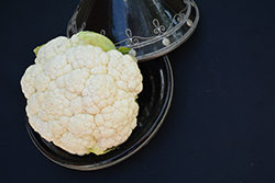 Cauliflower (Brassica oleracea var. botrytis) at Canadale Nurseries